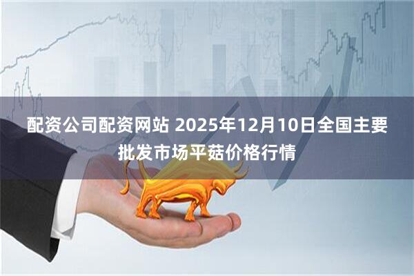 配资公司配资网站 2025年12月10日全国主要批发市场平菇价格行情